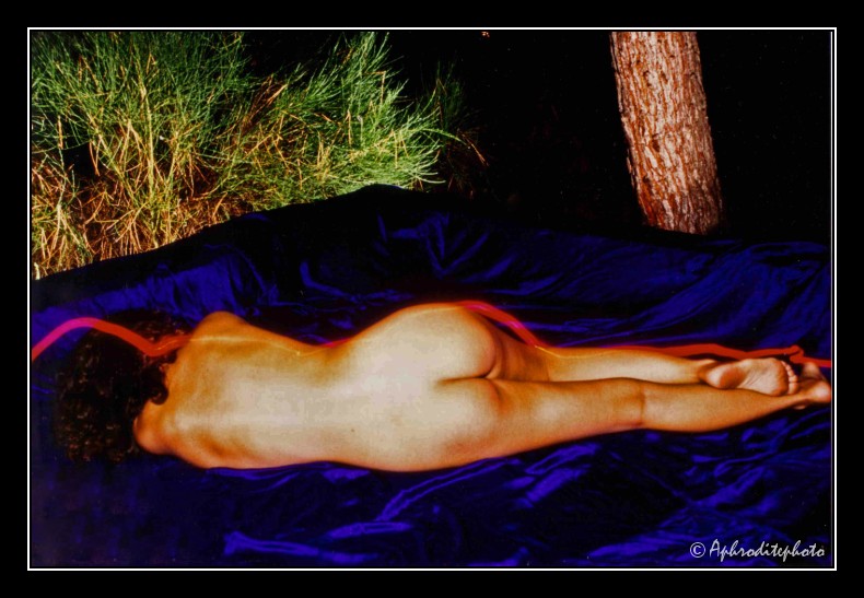 007 Le lit aquatique